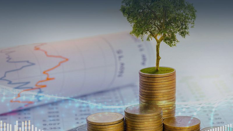 IPO审计衔接行业标准：合规与效率的平衡之道**
