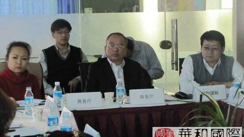 解码战略咨询案例研究：方法与要领